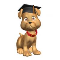 dog.jpg
